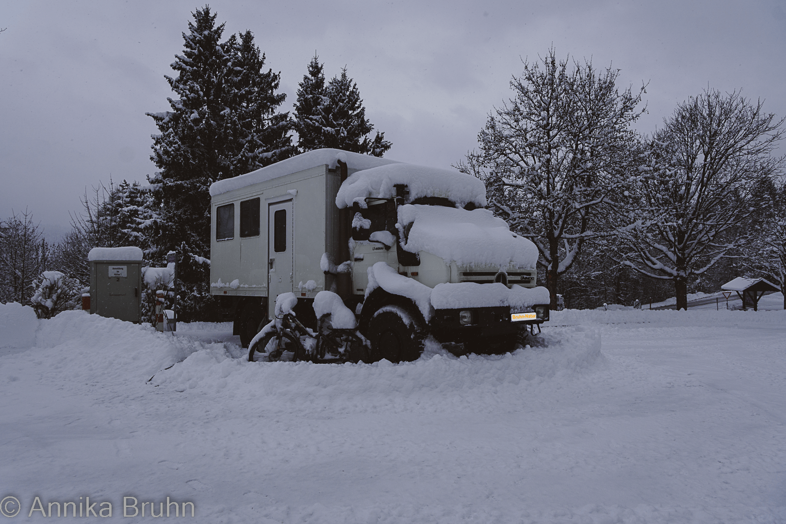 Karl versteckt sich unter dem Schnee!